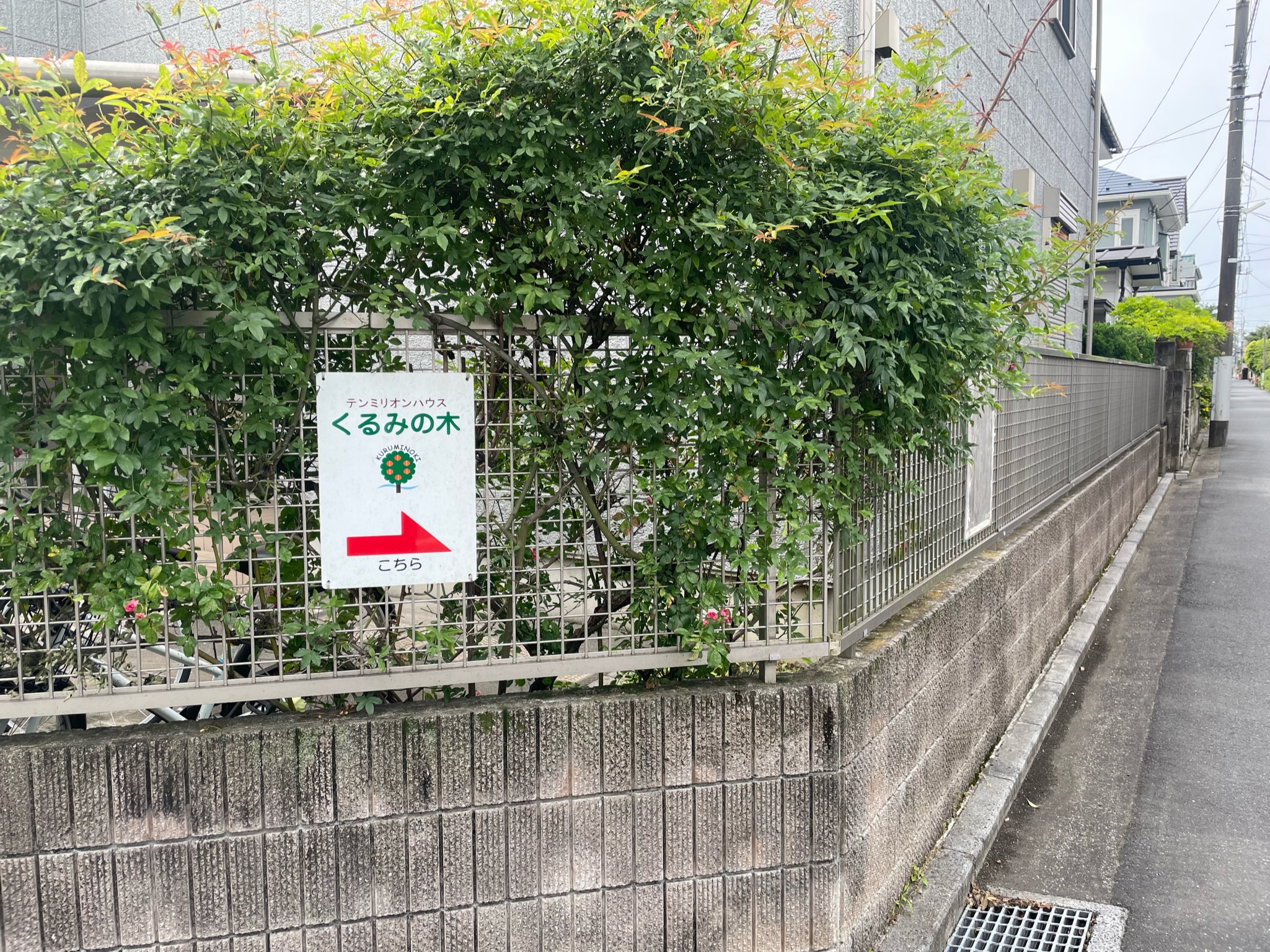 外観